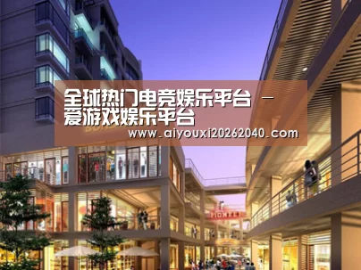 案例展示一(图1)
