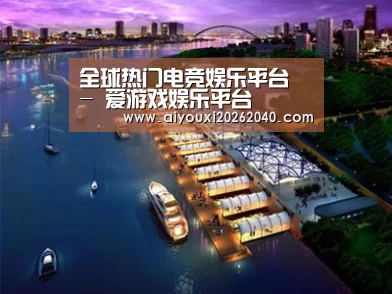 案例展示八