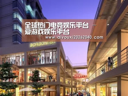 案例展示一