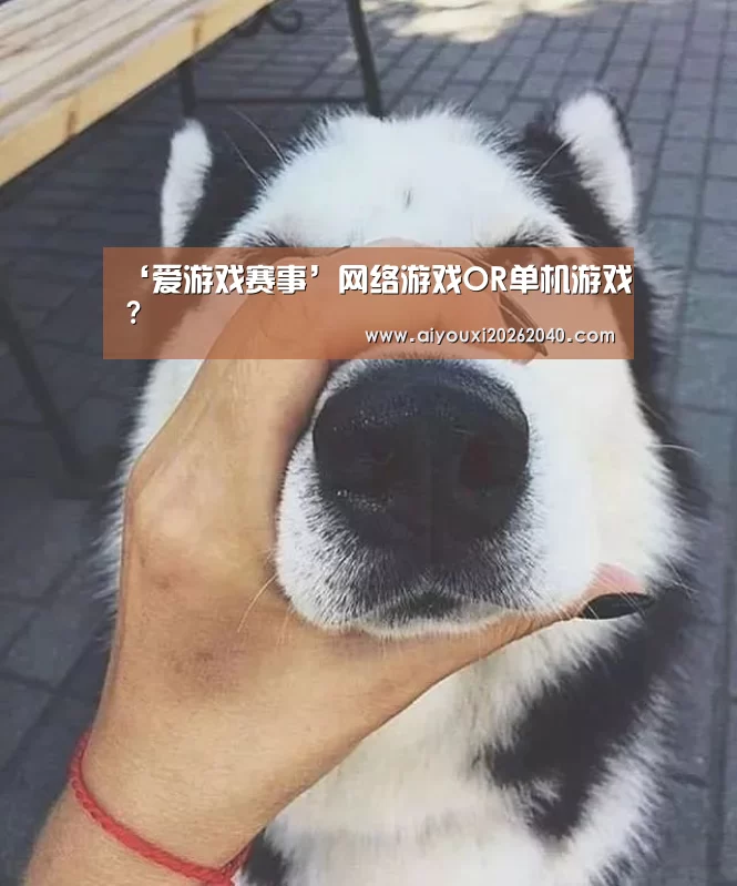 爱游戏体育
