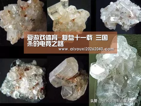 爱游戏体育-复盘十一载 三国杀的电竞之路(图3) 爱游戏体育