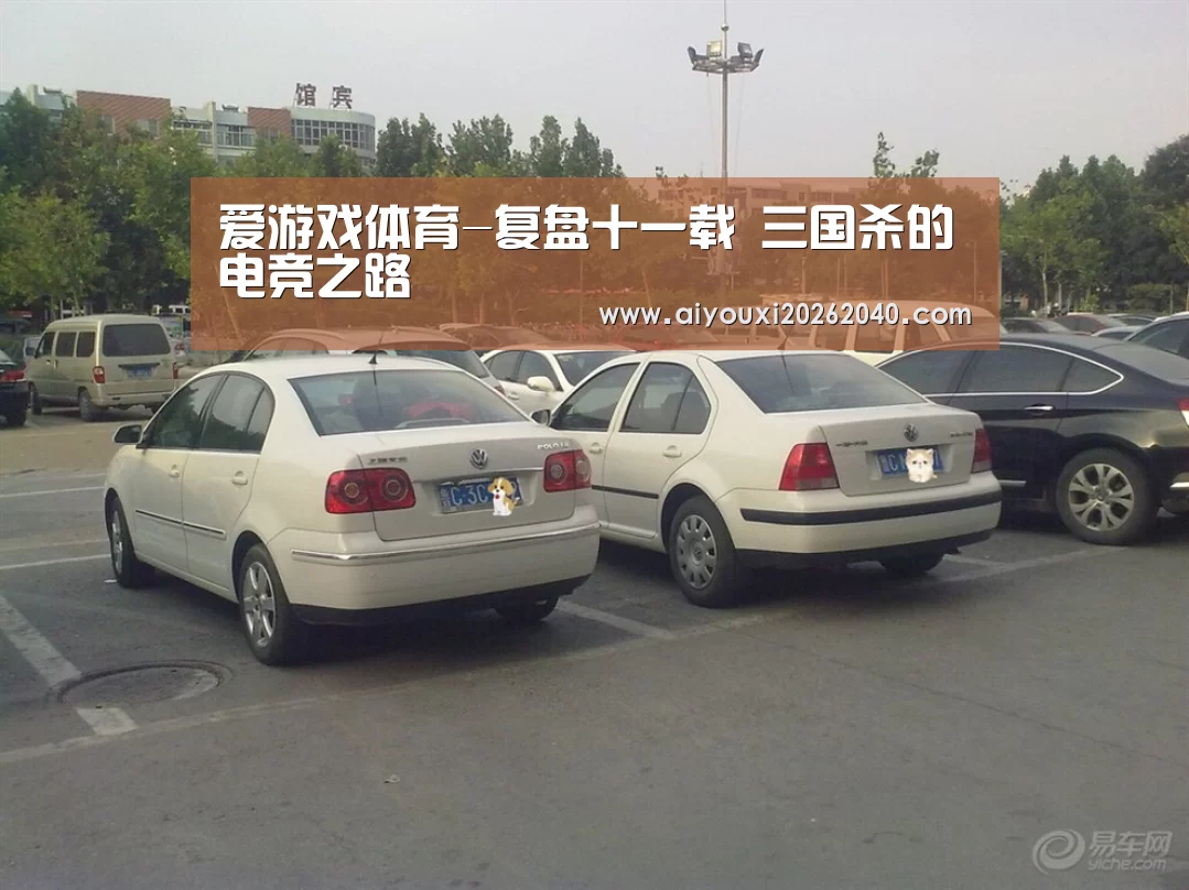 爱游戏体育-复盘十一载 三国杀的电竞之路(图2) 爱游戏赛事
