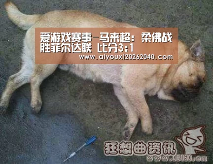 爱游戏赛事-马来超: 柔佛战胜菲尔达联 比分3:1(图1) 爱游戏赛事