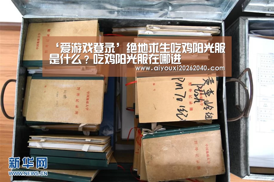 爱游戏官网