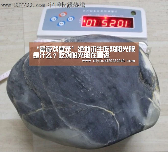 爱游戏赛事