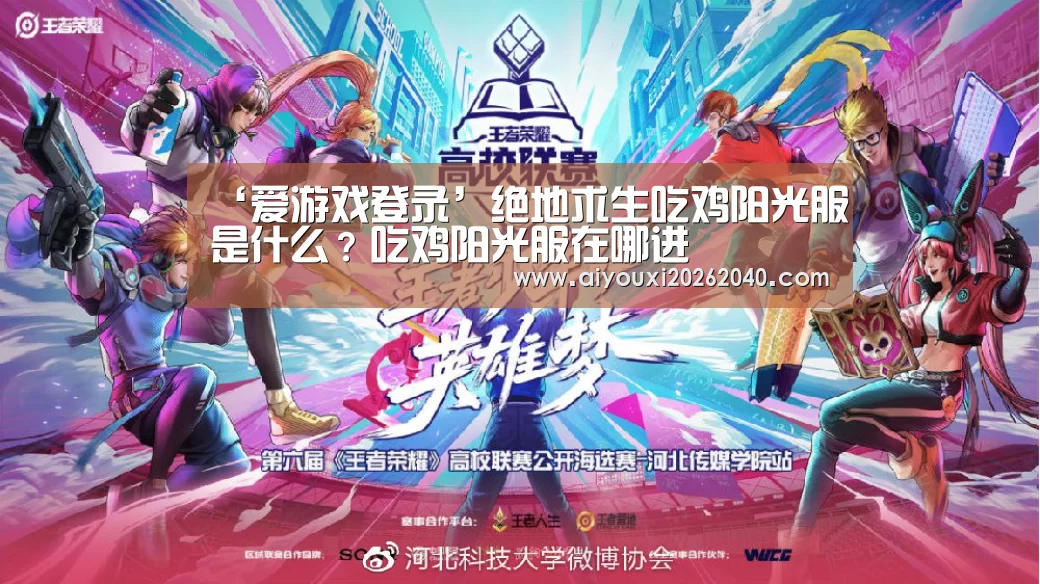 爱游戏官网