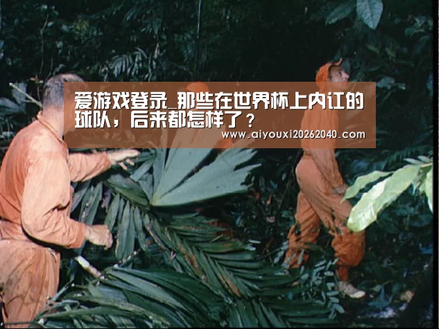爱游戏登录_那些在世界杯上内讧的球队,后来都怎样了?(图4) 爱游戏体育
